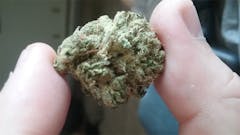 User uploaded image of Starfighter