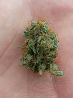 User uploaded image of Starfighter