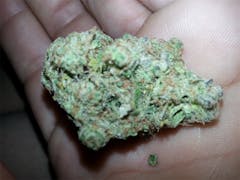 User uploaded image of Starry Night