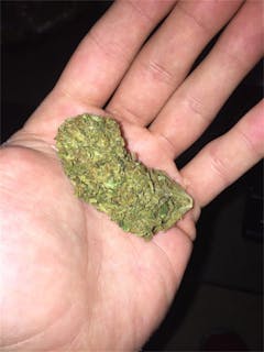 User uploaded image of Stella Blue