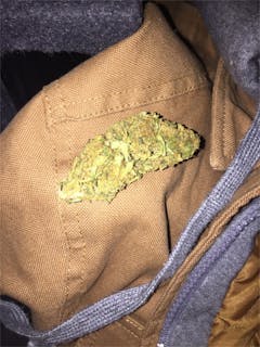 User uploaded image of Stella Blue