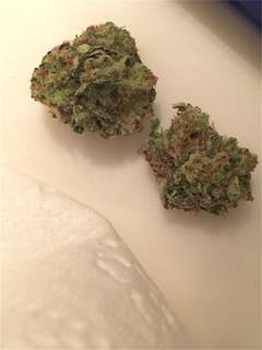 User uploaded image of Stephen Hawking Kush