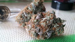 User uploaded image of Stephen Hawking Kush