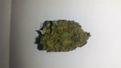 User uploaded image of Stevie Wonder