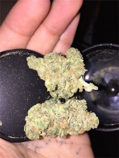 User uploaded image of Stevie Wonder