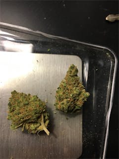 User uploaded image of Stevie Wonder