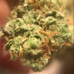 User uploaded image of Strawberry Amnesia