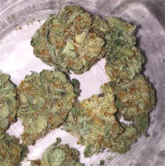 User uploaded image of Strawberry Amnesia