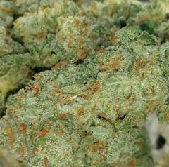 User uploaded image of Strawberry Blue
