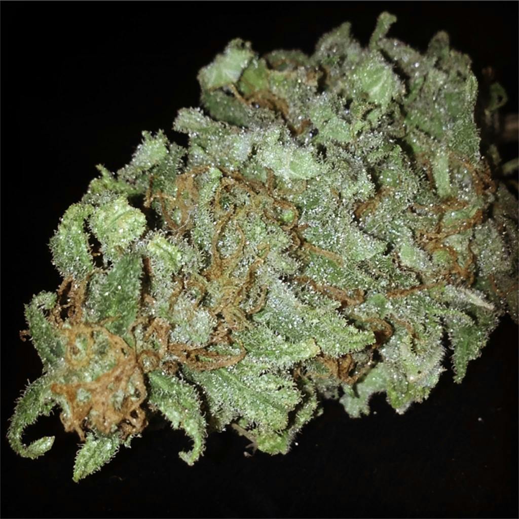 Strawberry Blue Marijuana Strain Information Leafly