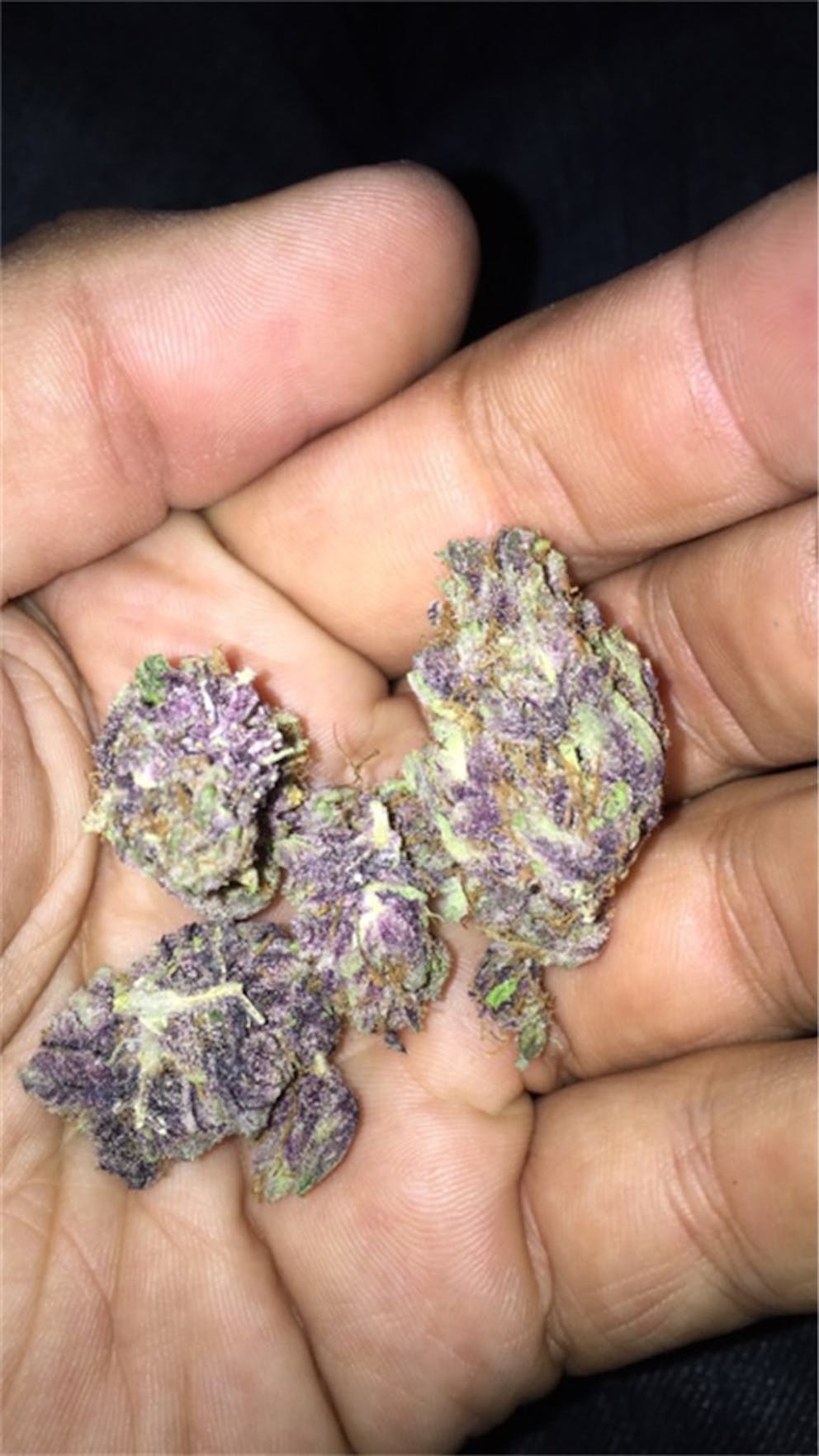 Photos of Strawberry Cheesecake Weed Strain Buds Leafly