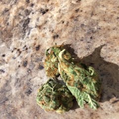 User uploaded image of Strawberry Cheesecake