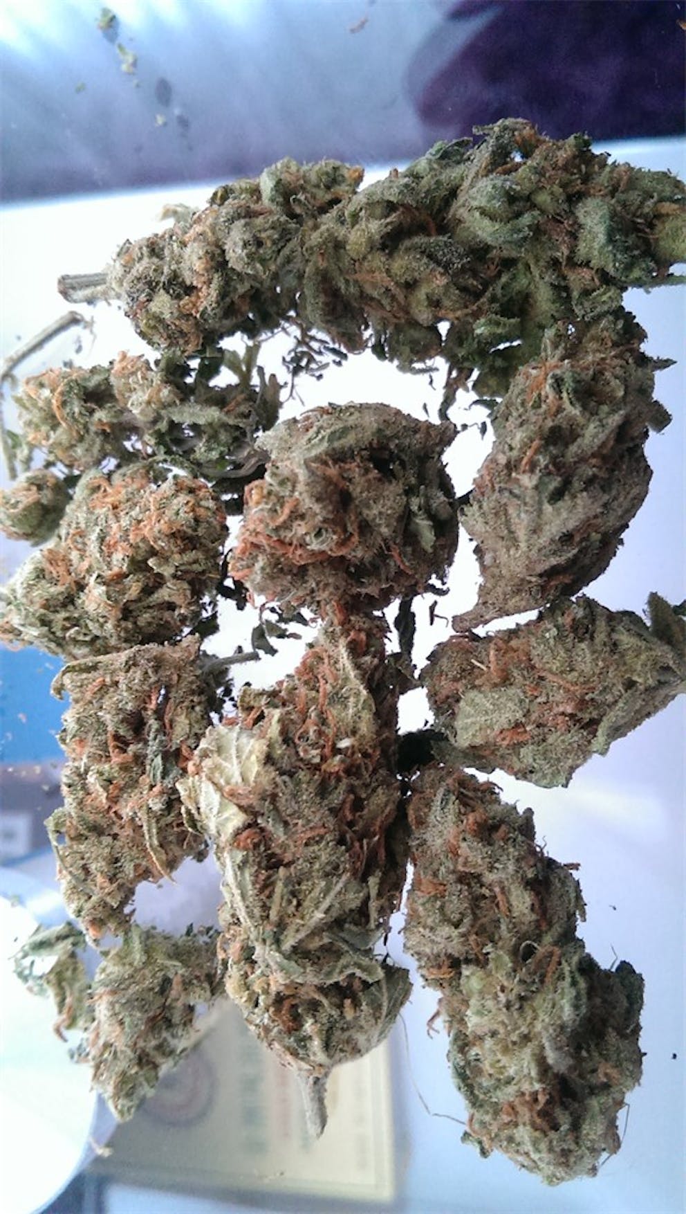 Photos of Strawberry Cheesecake Weed Strain Buds Leafly