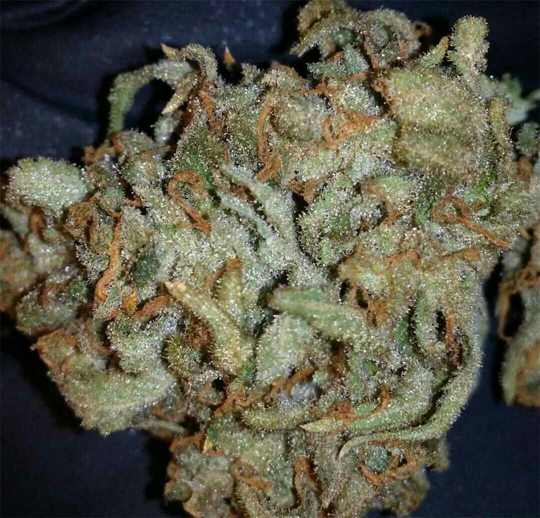 Strawberry Cheesecake Weed Strain Information Leafly