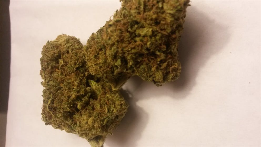 Photos of Strawberry Cheesecake Weed Strain Buds Leafly