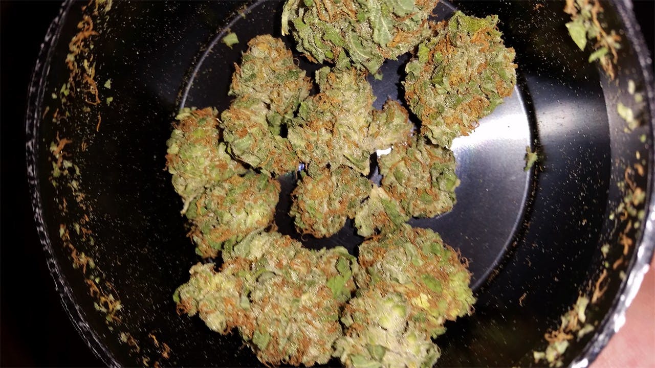 Photos of Strawberry Cheesecake Weed Strain Buds Leafly