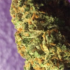 User uploaded image of Strawberry Cough
