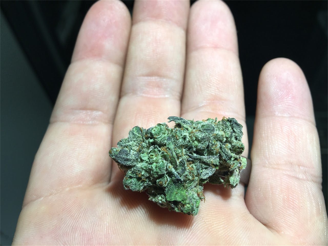 Photos of Strawberry Diesel Weed Strain Buds Leafly