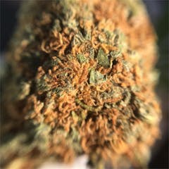 User uploaded image of Strawberry Diesel