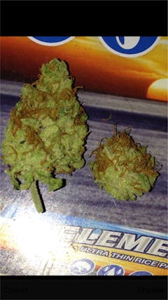 User uploaded image of Strawberry Fields