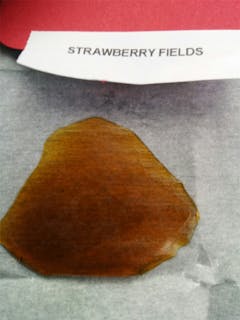 User uploaded image of Strawberry Fields