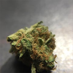 User uploaded image of Strawberry Fields