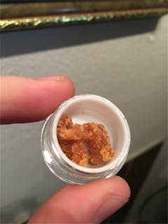 User uploaded image of Strawberry Fields