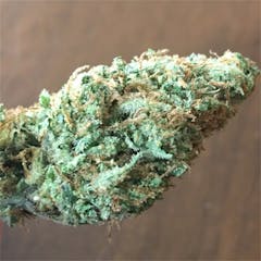 User uploaded image of Strawberry Fields