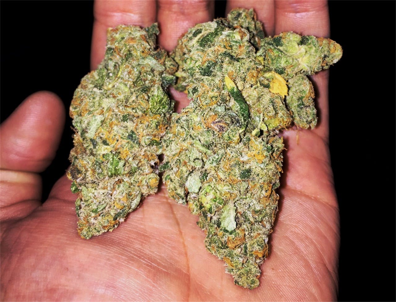Photos of Strawberry Kush Weed Strain Buds Leafly