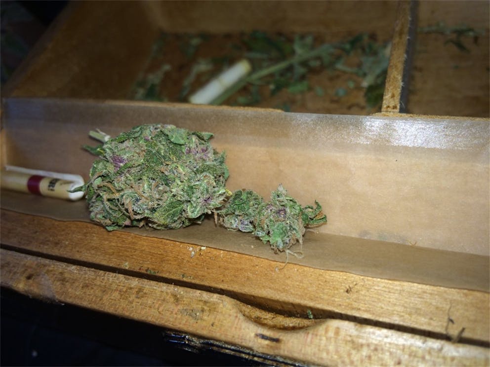 Photos of Strawberry Lemonade Weed Strain Buds Leafly