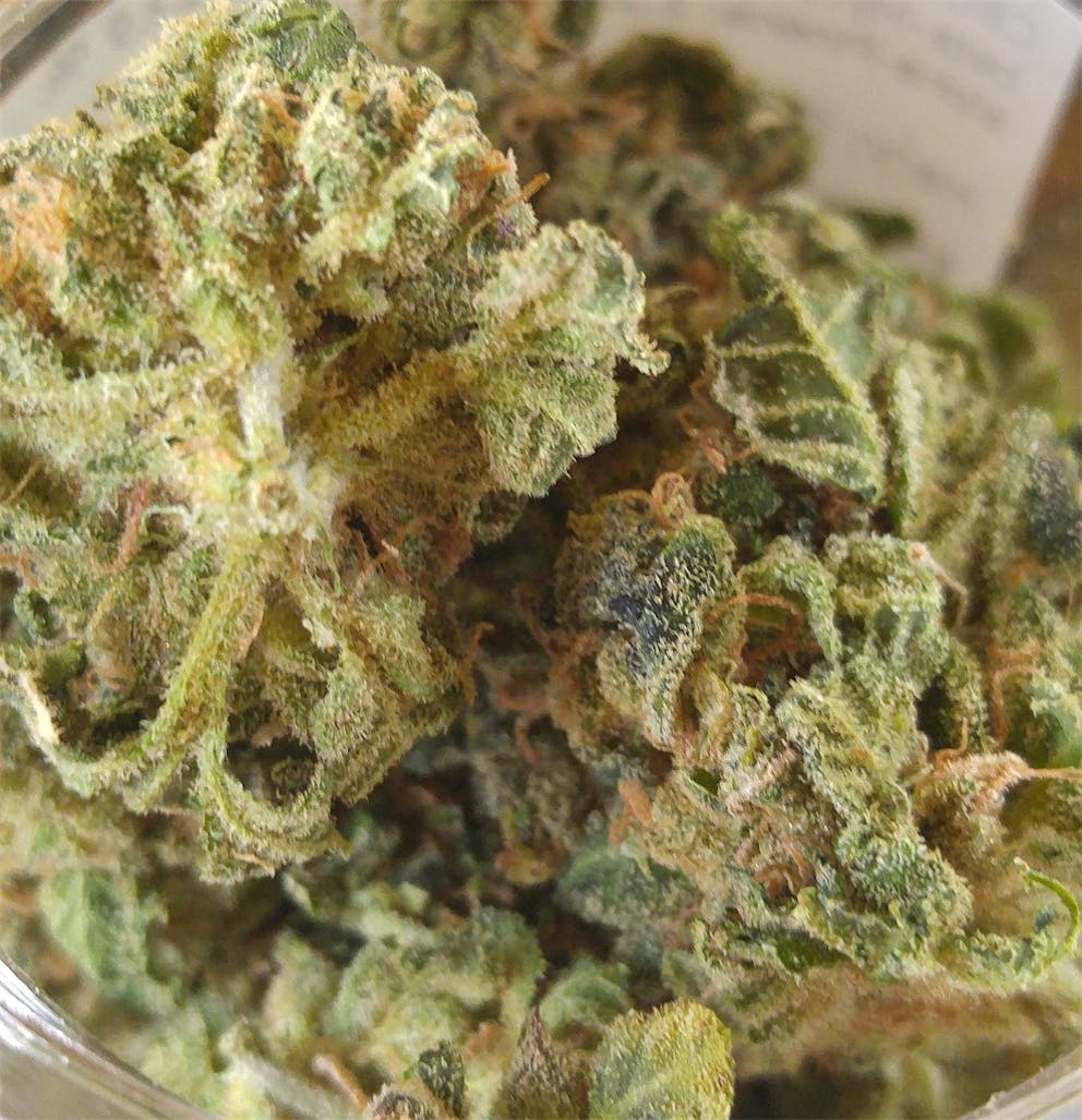 Photos of Strawberry Lemonade Weed Strain Buds Leafly