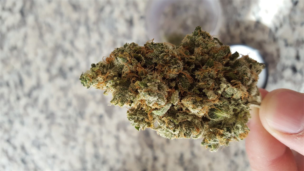 Strawberry Lemonade aka Mike's Strawberry Lemonade Weed Strain