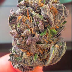 User uploaded image of Strawberry Mango Haze