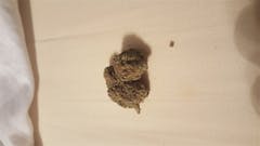 User uploaded image of Strawberry Milkshake