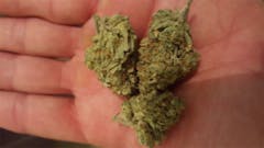 User uploaded image of Strawberry