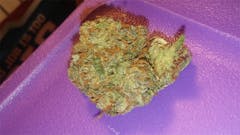 User uploaded image of Strawberry