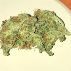 User uploaded image of Strawberry