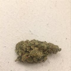 User uploaded image of Strawberry