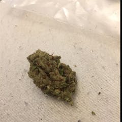 User uploaded image of Strawberry