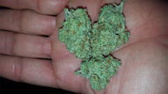 User uploaded image of Strawberry