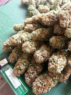 User uploaded image of Sublime