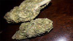 User uploaded image of Sublime