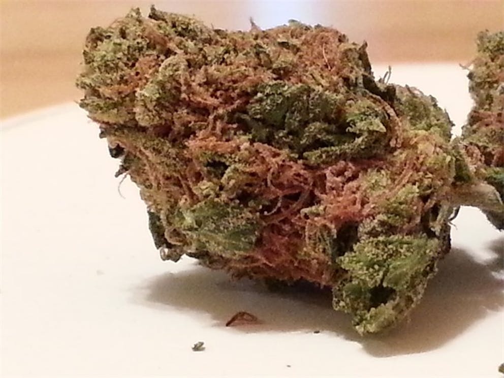 Photos of Sugar Cookie Weed Strain Buds Leafly