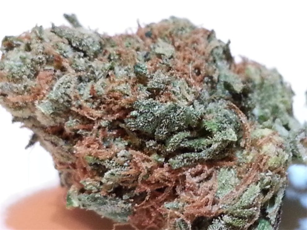 Photos of Sugar Cookie Weed Strain Buds Leafly