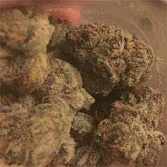 User uploaded image of Sugar Cookie