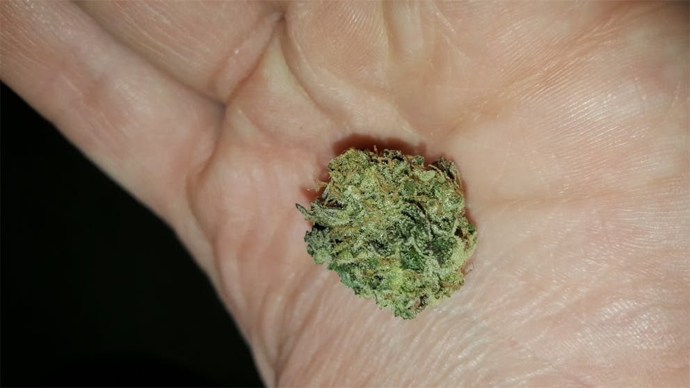 Photos of Sugar Cookie Weed Strain Buds Leafly