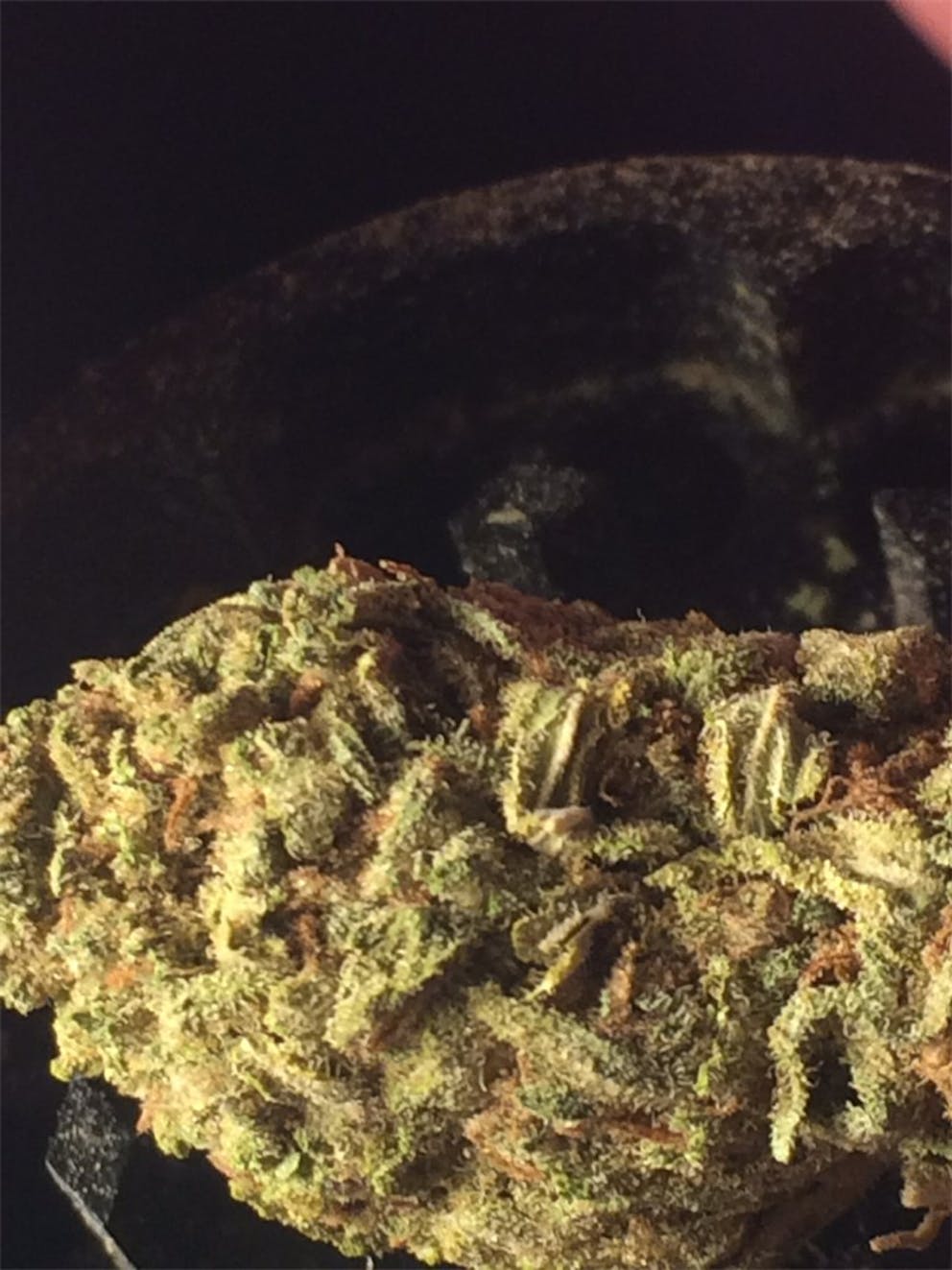 Photos of Sugar Cookie Weed Strain Buds Leafly