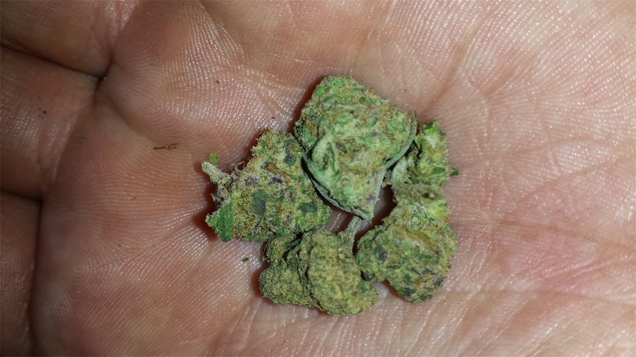 Photos of Sugar Cookie Weed Strain Buds Leafly