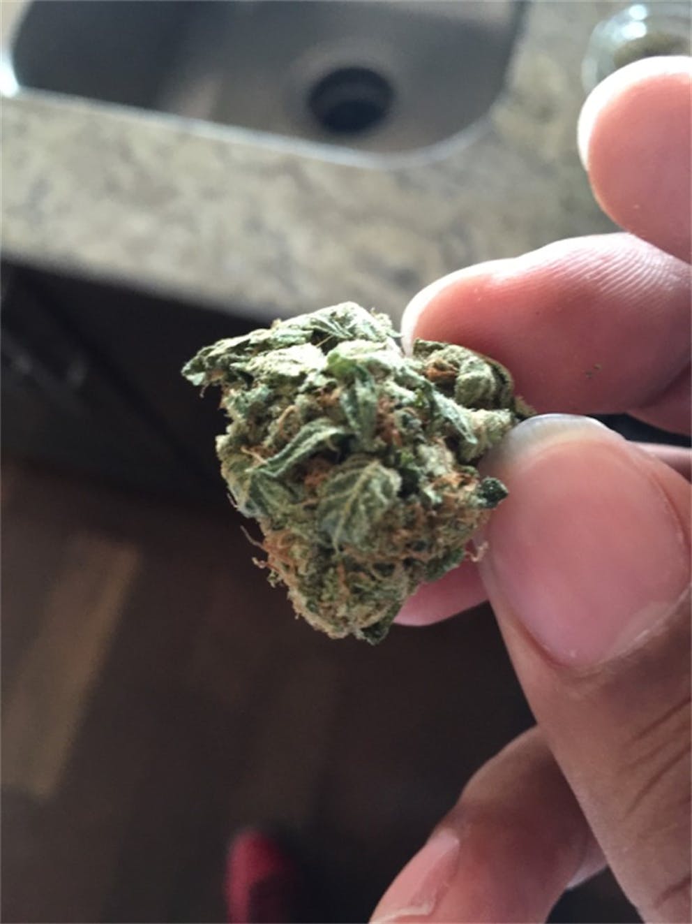 Photos of Sugar Cookie Weed Strain Buds Leafly