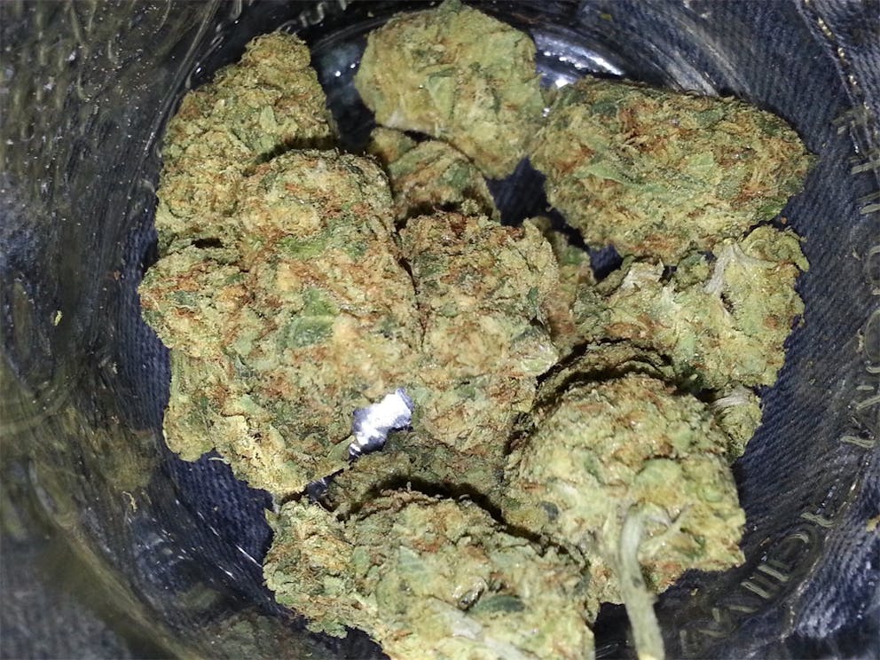 Photos of Sugar Cookie Weed Strain Buds Leafly